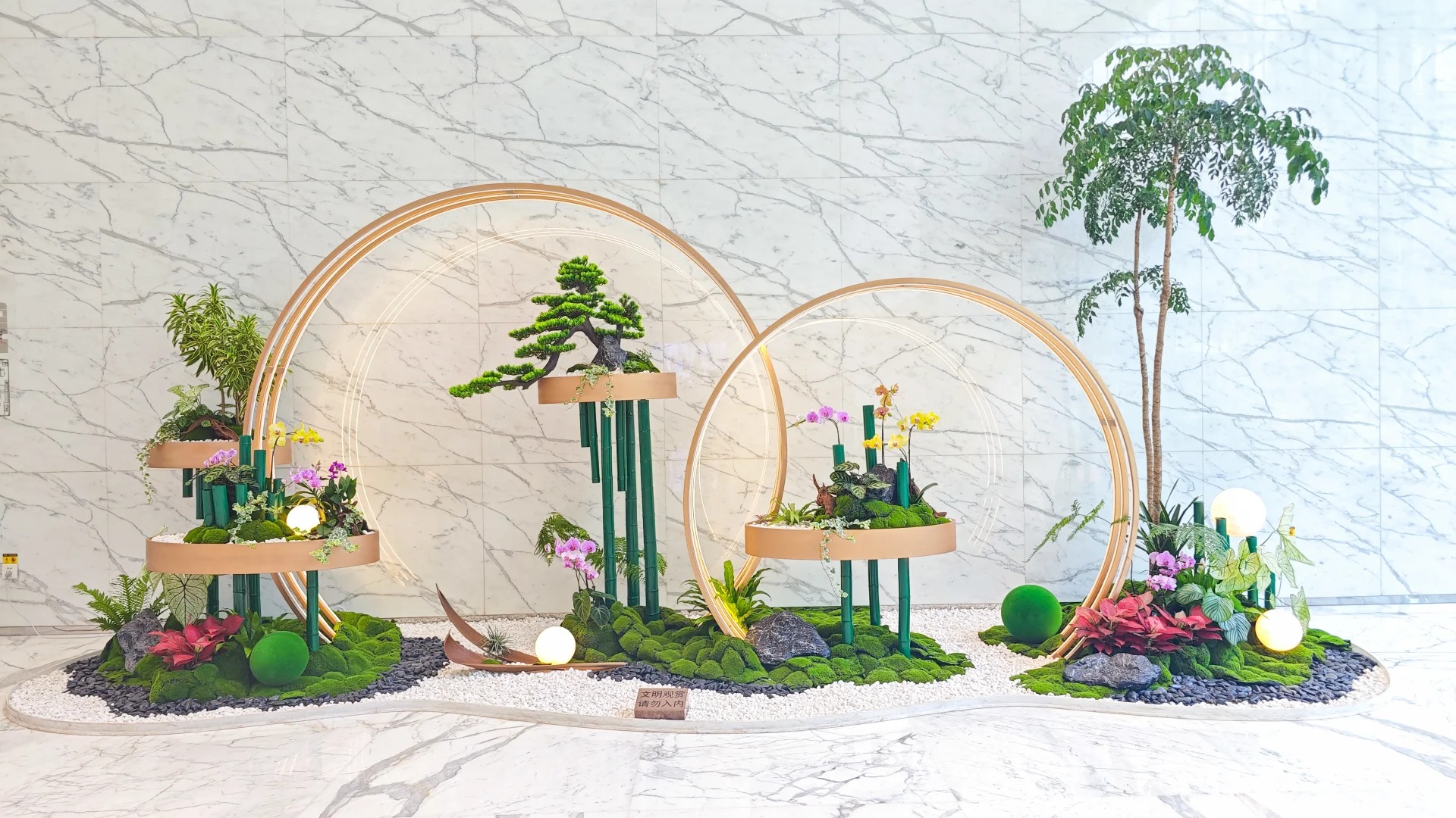 了解鄞州花木租赁价格，别错过这篇！